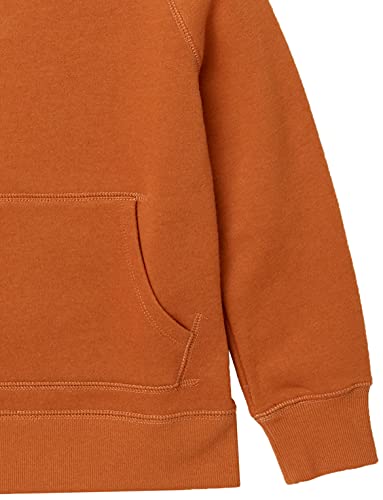 Image of Amazon Essentials Boys and Toddlers' Fleece Pullover Hoodie Sweatshirts
