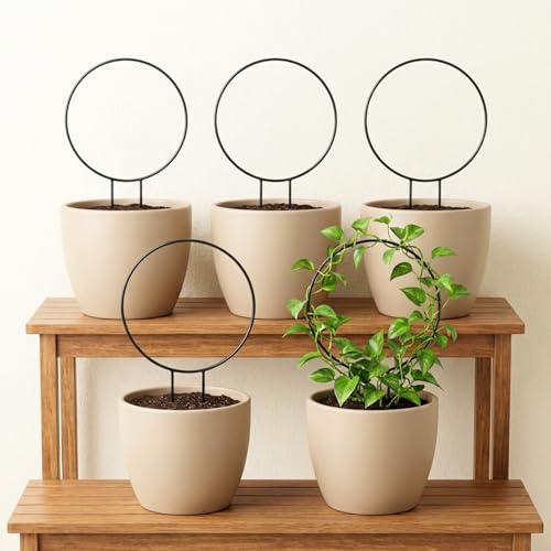 Image of ecofynd 5 Pack Black Iron Garden Metal Trellis for Climbing Plants | Black Coating Decorative Potted Plants | Climbing Holder | Rack for Garden Stem Stalks Vines (Round)