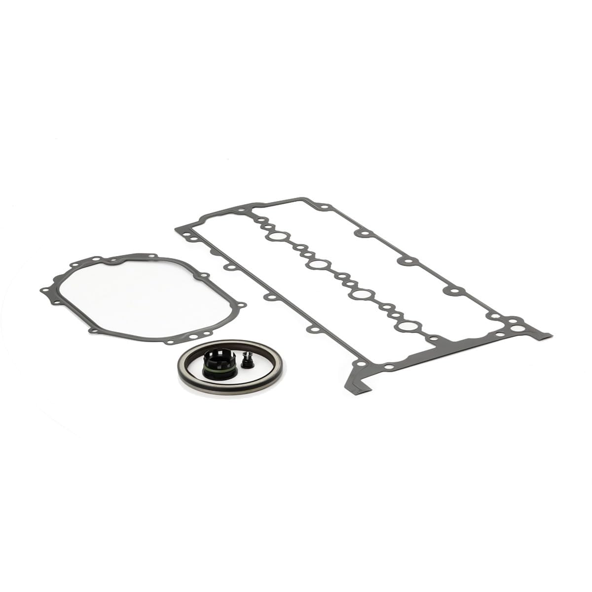 RIDEX 1389T3066 Kit catena distribuzione con guarnizioni con ingranaggio Compatibilità con LAND ROVER Range Rover Evoque L538