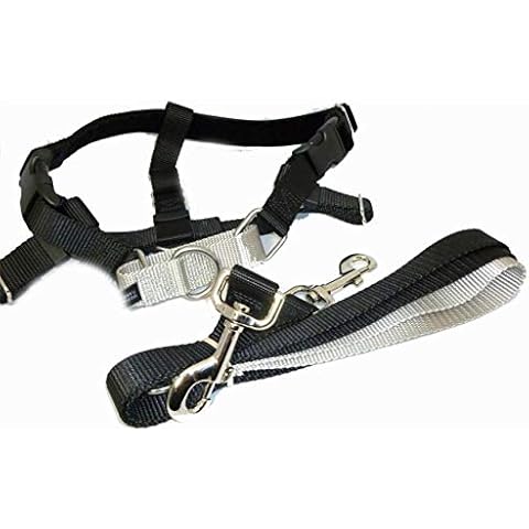 2 Hounds Design Freedom No-Pull Dog Harness Training Package with Leash, Small, 1-Inch Wide, Black Cover