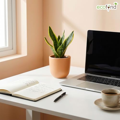 Image of ecofynd 5 Inch Ceramic Plant Pots with Drainage Hole, Modern Decorative Clay Flower Pots for Indoor Plants, Home Garden Decor for Living Room, Bedroom & Interior Spaces (CPOT041-PEH)