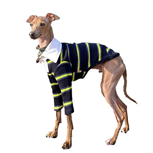 D DOGGY STAR C^O K[Vc C^AO[nEh  xhgeA EBybg (2XL, lCr[)