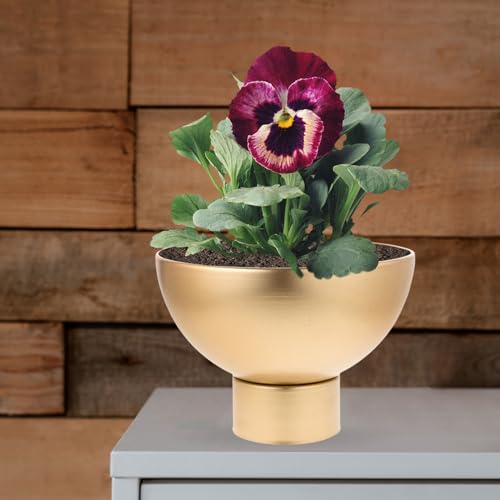 Pedestal Flower Bowl - Golden Metal Vase for Artificial Orchid Flowers Wedding Tabletop Centerpiece, Entryway Decoration (20x20cm) - Image 3