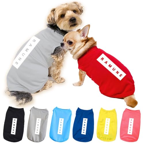    SPIRAL-style ꃁbV^N N^OV 3XL O[ ^ ^ ^ ~ t    ₷  킢 uh Z[ U