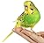 Maltbys' Stores 1904 Limited Millet Sprays x 10 Premium Cage Bird Food Seed
