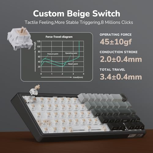 Image of RK ROYAL KLUDGE R65 Wired Gaming Keyboard with Volume Knob, 60% Percent RGB Backlit Mechanical Keyboard, Side Printed PBT Keycaps, QMK /VIA, 66 Keys Hot Swappable Beige Switch, Gradient Black