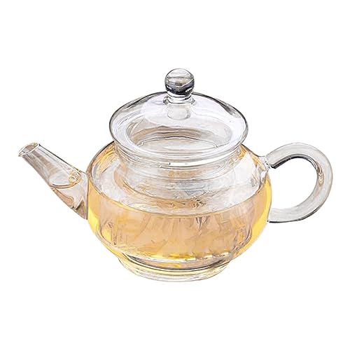 BESTYASH Hitzebeständige Transparente Glaskanne mit Kurzem Ausguss Feinporigem Tee und Kaffeefilter Langlebige Borosilikatkaraffe für Tee und Kaffeegenuss Geeignet für Baristas und