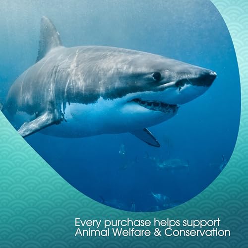 White Shark Chai Tea Latte Mix, 64 Oz, White Tea, Organic Spices, Dairy Free, Serve Hot or Cold, Just Add Water or Milk, 65 Servings