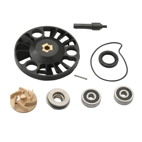 Kit de réparation d'eau Atlantic Eu3 Scarabeo 125cc 200cc Sport City 200 100110230