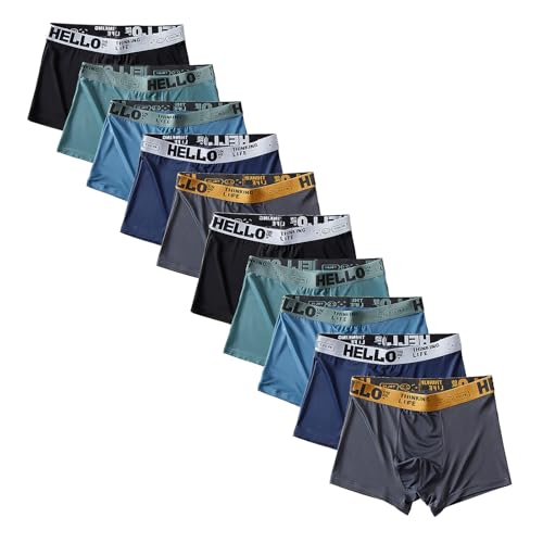 LuxeCore Mens Breathable Boxer Briefs Mens Ice Silk Underwear Ultra Breathable Quick-Dry Underwear Multipack 10-Pack(L)