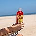 Calypso Lemonade, Paradise Punch Lemonade, Made with Real Fruit, 16 Fl Oz Glass Bottles (Pack of 6)
