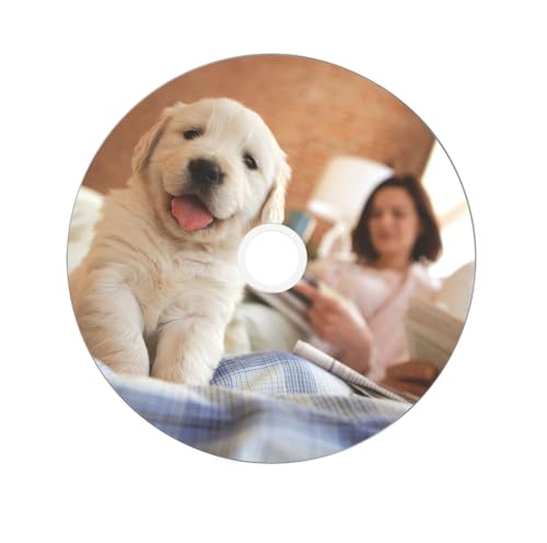 Verbatim 64308 8.5GB Blank Double Layer DVD+R DL 8X Speed IJP Ink Jet Printable White (Pack of 10 Disc Cake Box) - Image 2