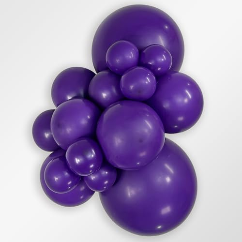 Image of Sempertex Fashion Violet Balloons, Latex, 11 Inch, 25 Pcs