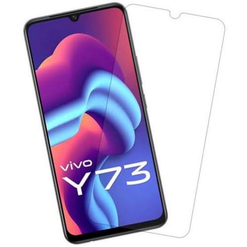Image of Embed HD-Clear Screen Guard for VIVO Y73 - Harder or Durable Plastic & More Impact-Resistant Than Glass, with Free Installation Kit