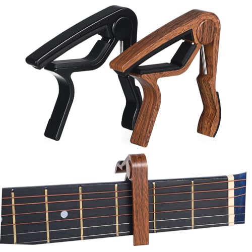 Totority 2M^[pEbhL| AR[XeBbN GLM^[Ή G