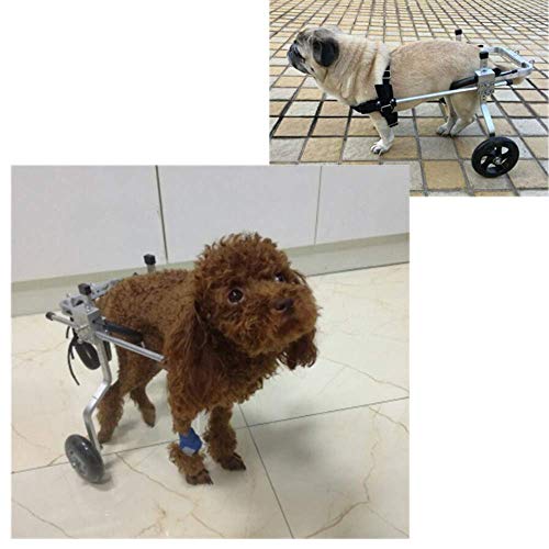 Silla de ruedas para mascotas con discapacidad: el carrito que le devuelve su libertad 5