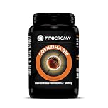 Coenzima Q10 300mg x Cps - Ubiquinone - 120 capsule - (Fosfosomiale™) Tecnologia ultra-solubile alto assorbimento (Coq10 da fermentazione naturale 100%), Q10 coenzima, Q10 integratore