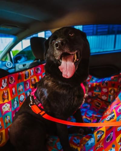 Capa Protetora Carro Pet Impermeável, Antiderrapante, Resistente ao Desgaste, Grande Capacidade 4 em