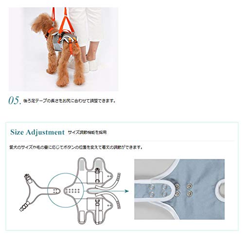 Amazon | 犬 歩行補助ハーネス 介護 ハーネス 胴輪 LaLaWalk ララ