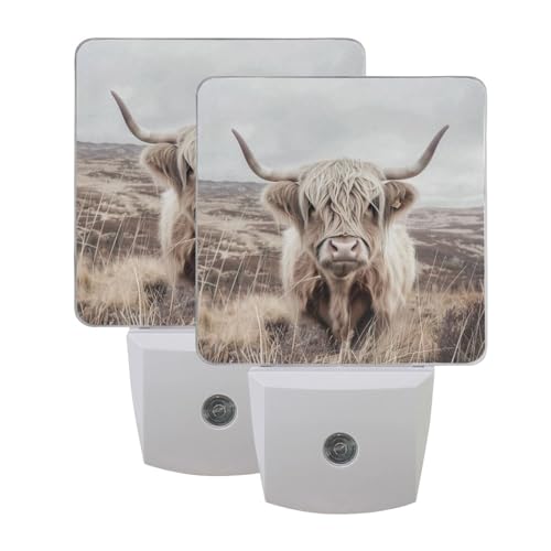 Image of Highland Cattle Cow Mountain Night Lights 2 Pack Plug-in Wall Led Nightlight Auto Dusk-to-Dawn Sensor Lamps for Bedroom Kitchen Bathroom