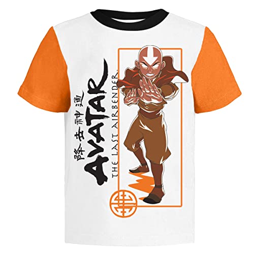 Avatar The Last Airbender Graphic T-Shirt (Sets) Aang Appa Iroh Katara Korra Momo Sokka Toph Zuko Tee Toddler to Kids Clothes3