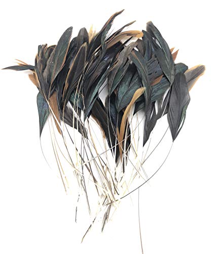 ERGEOB coda piume 10 - 15 cm di lunghezza