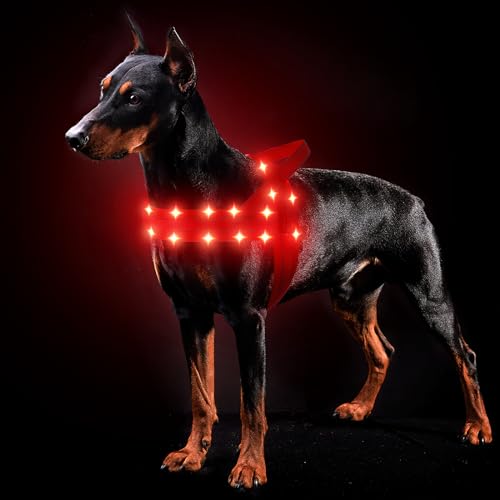 MASBRILL Hundegeschirr Leuchtend Wiederaufladbar, LED Leuchtgeschirr Verstellbar für Klein Mittelgroße Große Hunde, Gepolstert Reflektierend Beleuchtetes Hundegeschirr für Nachtspaziergänge(Rot M)