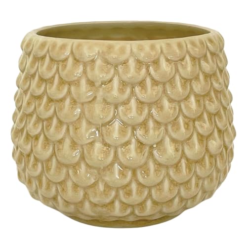 Nordring Maceta Pino - Macetero Decorativo Redondo Para Flores E Plantas Para Interiores M 13,5 Cm Ø , Amarillo, Cerámica Nordring Maceta Pino - Macetero Decorativo Redondo Para Flores E Plantas Para Interiores M 13,5 Cm Ø , Amarillo, Cerámica