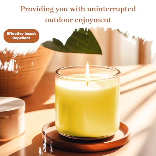 ANGIX 4 x Citronella Candles in Glass Jar Holders Ideal for Mosquito, Fly Insect & Bugs Repellent Long-Lasting Outdoor Protection Candle Sets - Cosy Home Interiors ANGIX 4 x Citronella Candles in Glass Jar Holders Ideal for Mosquito, Fly Insect & Bugs Repellent Long-Lasting Outdoor Protection Candle Sets - Image 3