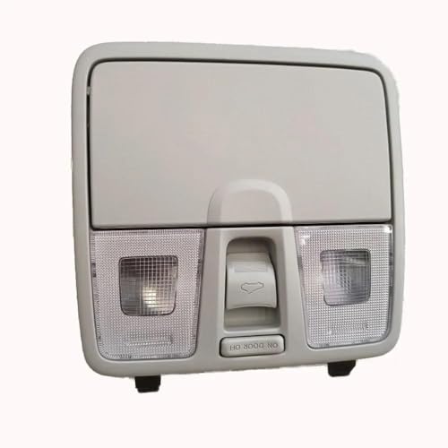 Organizador y luz de lectura delantera para Hyundai Elantra MD