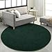 FlyDOIT Round Area Rugs for Bedroom Living Room, 4x4 Dark Green Super Soft Comfy Thickened Memory-Foam Indoor Circle Carpet, Modern Aesthetic Minimalist Carpet for Boys Girls Adults Nursery Home Décor