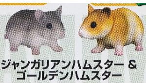 カプセルアニア Part3 2 ジャンガリアンハムスター ゴールデンハムスター 単品 カプセル玩具 おもちゃ Amazon