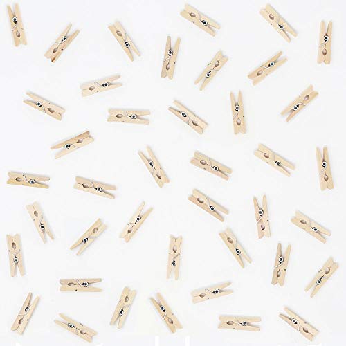 Just Artifacts Mini 1-inch Craft Wood Clothespins/Peg Pins (100pc, Natural Wood)