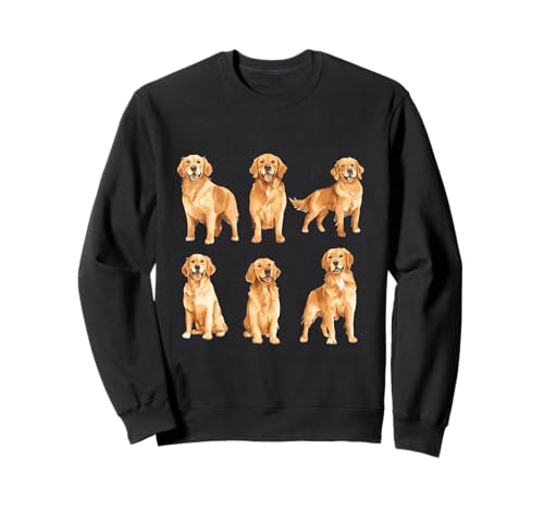 Happy Retriever ���� ���D�� �� �g���[�i�[