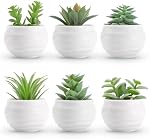 Der Rose 6Pcs Small Fake Plants Cute Artificial Succulent Faux Plants for Home Bathroom Living Room Office Desk Shelf Bookshelf Decor Indoor Aesthetic