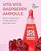 BE THE SKIN Vitavita Raspberry Serum - Anthocyanin + Vitamin BBCC & Niacinamide, 11 Peptides & 5-Type Hyaluronic Acid, Helps Visibly Glow & Even Skin Tone | Korean Ampoule 1.01 fl oz