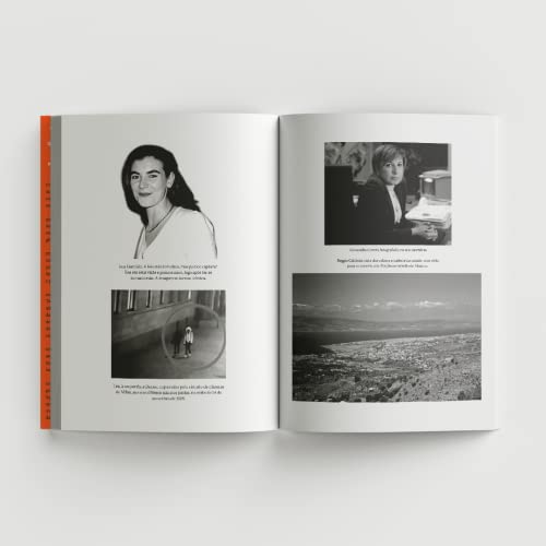 Mães da máfia: A história real das mulheres que enfrentaram a máfia italiana mais poderosa do mundo