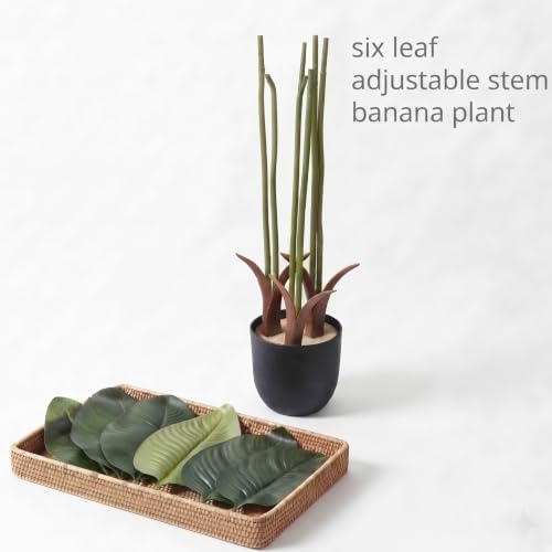 Image of Dekorly Premium Artificial 6 Green Leaves Banana Tree Plant with Black Pot, 100 cm (39.3 Inch) - Elegant Faux Indoor Tropical Plant for Home & Office Decoration