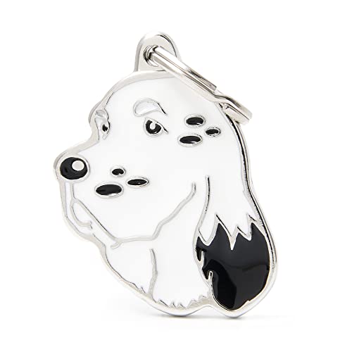 MyFamily Medaglietta per Cane Personalizzata