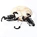 TIANBANGSHI Creative Funny Punk 3D Scorpion Animal Stud Earrings Fashion Double Sided Halloween Handcraft Polymer Clay Animal Personalized Black Scorpion Earrings For Men Women (scorpion)