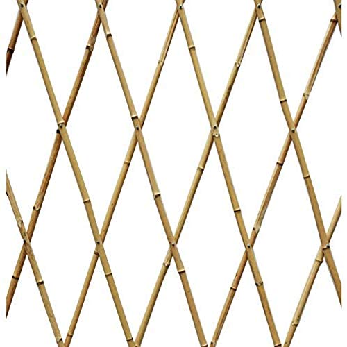 Treillis de jardin en bambou. Soie artificielle extensible, marron