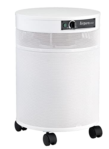 Photocatalytic Oxidizer Air Purifier #TOP2