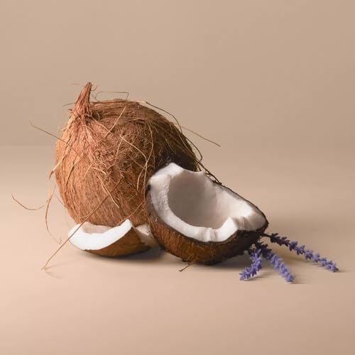 Being-Frenshe-Eau-De-Perfume-Lavender-Cloud-2-fl-oz