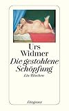 Die gestohlene Schöpfung: Ein Märchen (detebe) - Urs Widmer 