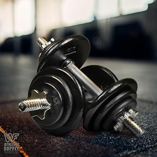 WF Athletic Supply Traditional/Classic 1-inch Hole Standard Solid Cast Iron Weight Plates - Great for Strength Training, Weightlifting, Bodybuilding & Powerlifting, Multiple Choices Available