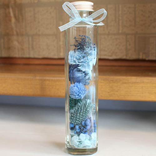 u{ghhht[vvU[uht[AWg(u[)n[oE`J[l[VEVo[f[W[EEJX~\E`̓ɂԂ̃Mtg