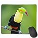 Produktbild Überraschtes rechteckiges Toucan-Gleit-Mauspad Tastatur Tastatur Gummi-Mauspad für Heim- und Büro-Laptops