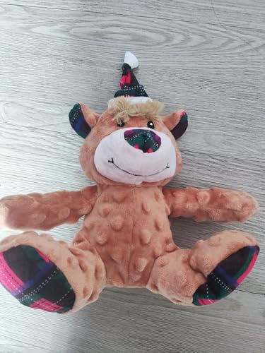 Veyaxiah Dog Squeaky Toys, Plush Toy for Small Medium Large Dogs