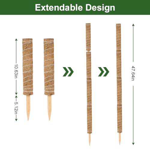 Vicloon Moss Pole, 4pcs Coir Totem Pole, Coir Moss Sticks for Indoor Plants Climbing Creepers - Image 3