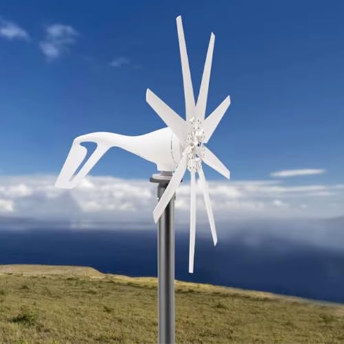 Système énergie éolienne Maglev 220V solution renouvelable 12000W maison